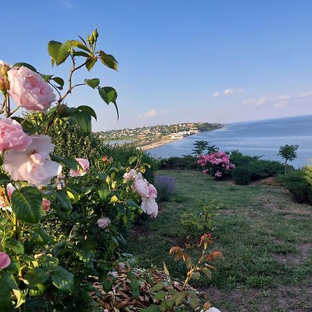 Villa Lavanda Vapnyarka Εξωτερικό φωτογραφία