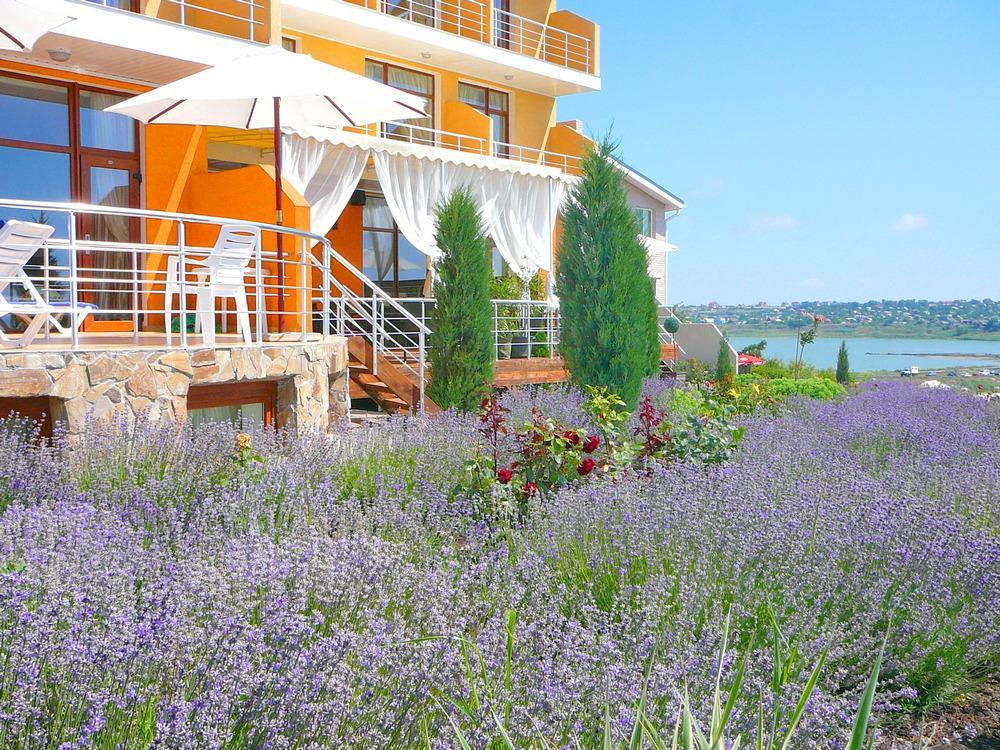 Villa Lavanda Vapnyarka Εξωτερικό φωτογραφία
